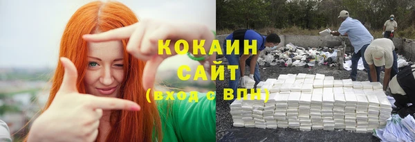 тгк Алексин