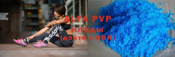 СК Великий Новгород