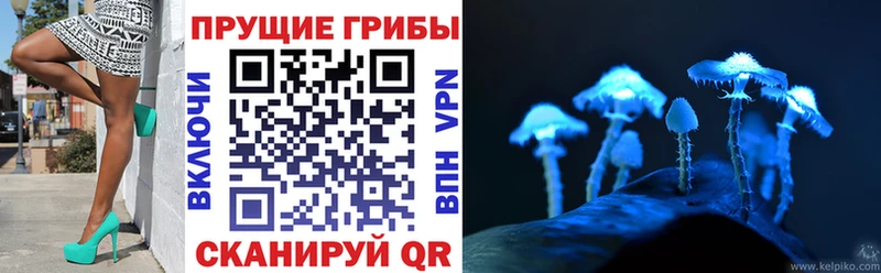 Псилоцибиновые грибы GOLDEN TEACHER  Грязовец 